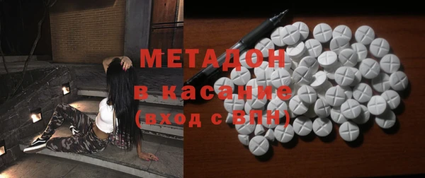 индика Абаза
