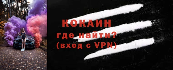 индика Абаза