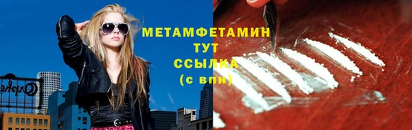 индика Абаза