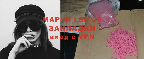 индика Абаза