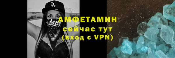 индика Абаза