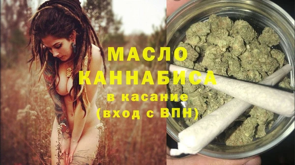 индика Абаза