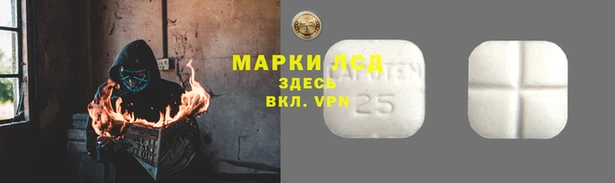 индика Абаза