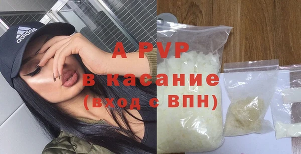 индика Абаза