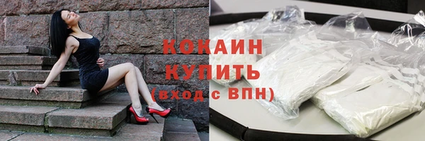 индика Абаза