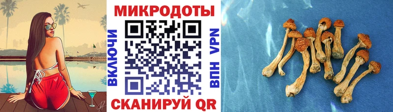 Псилоцибиновые грибы прущие грибы  Староминская 